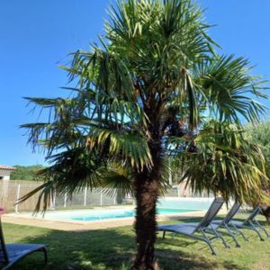 Charente Maritime Maison de Vacances Gîtes Les Mathes La Palmyre Le Fief des Roses Le Chai La Roseraie Piscine PageAccueil